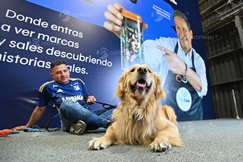 Galería de experiencias en la Feria del Hogar