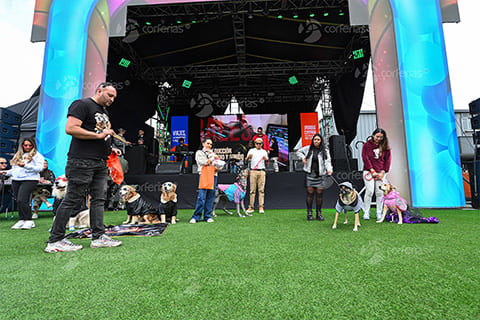 Galería de experiencias en la Feria del Hogar
