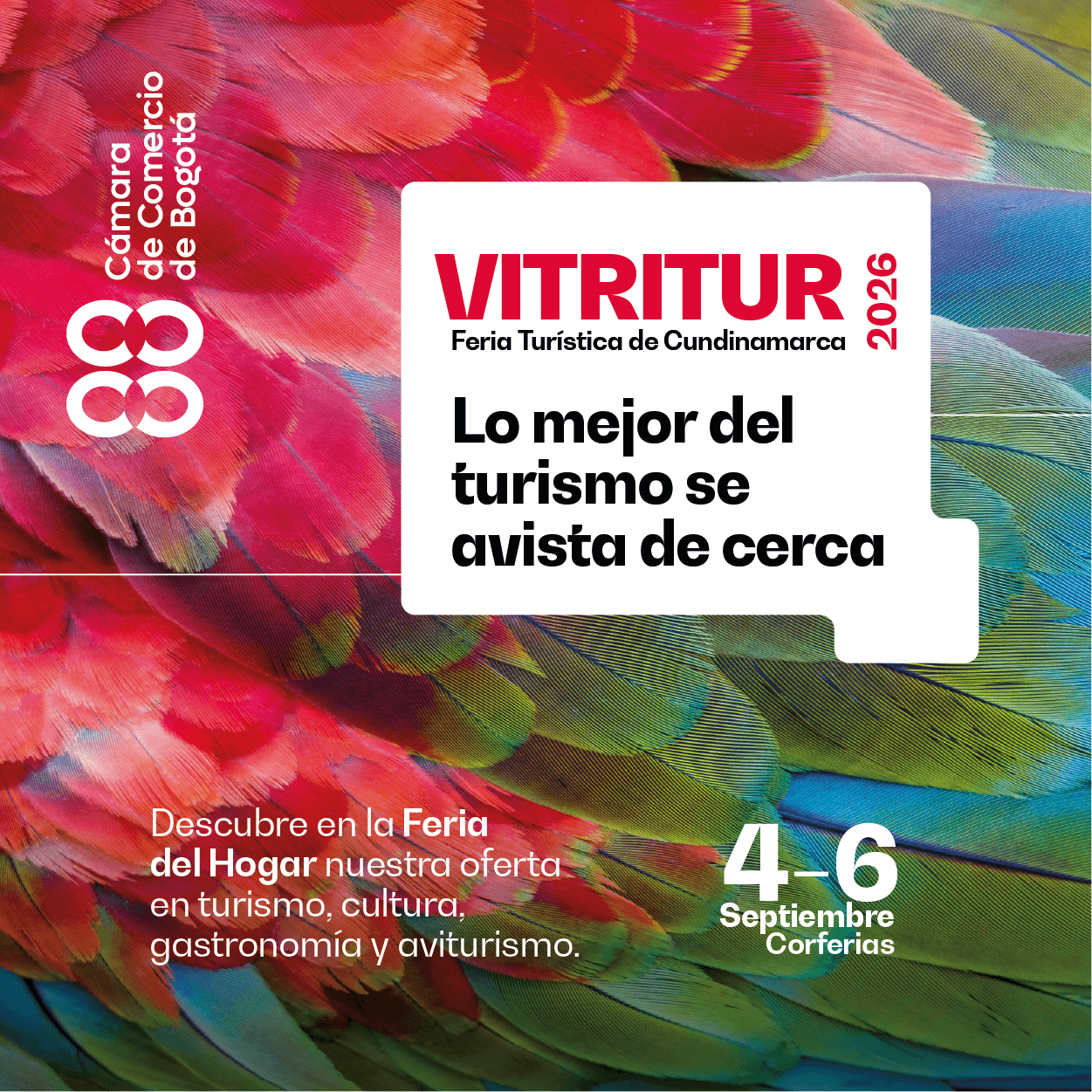 Feria del hogar